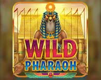 Game TG Slots
