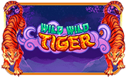 Game TG Slots